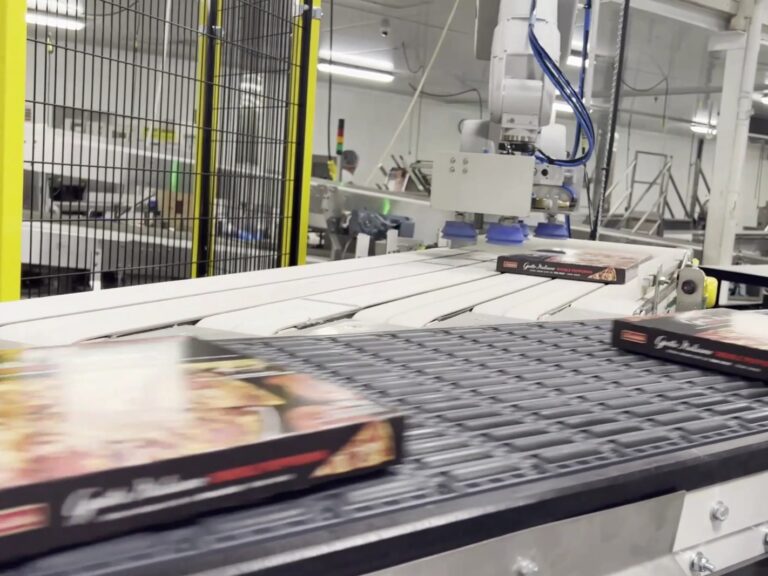 robotic packaging pizza cases